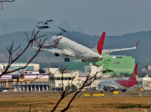 Boeing 737-800 (JA317J)