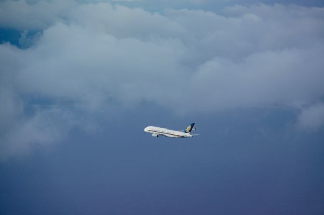 Airbus A380-800 — - This photo was taken from a Delta 717 which had just taken off parallel to this A380 at LAX.