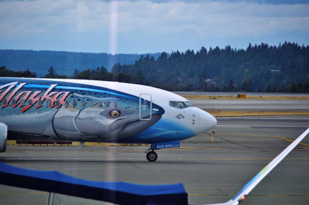 Boeing 737-700 — - going fishing.