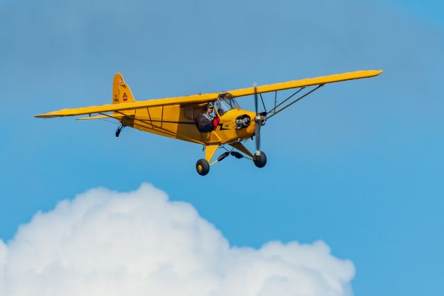 Piper NE Cub (N42286)