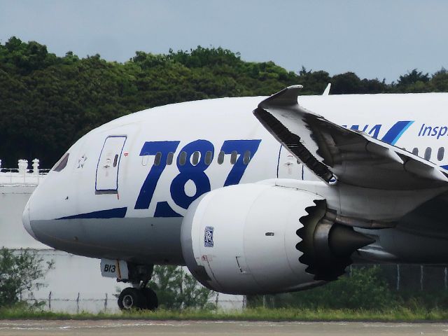 Boeing 787-8 (JA813A) - I take a picture on May 14, 2017.br /NH829