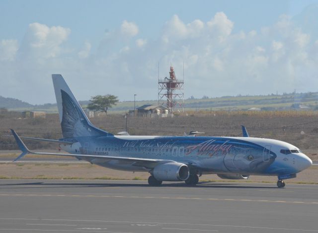 Boeing 737-800 (N559AS) - "Wild Alaska Seafood" livery.  Funny though because it was in Hawaii.