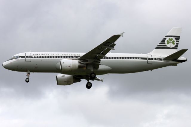 Airbus A320 (EI-DVM)