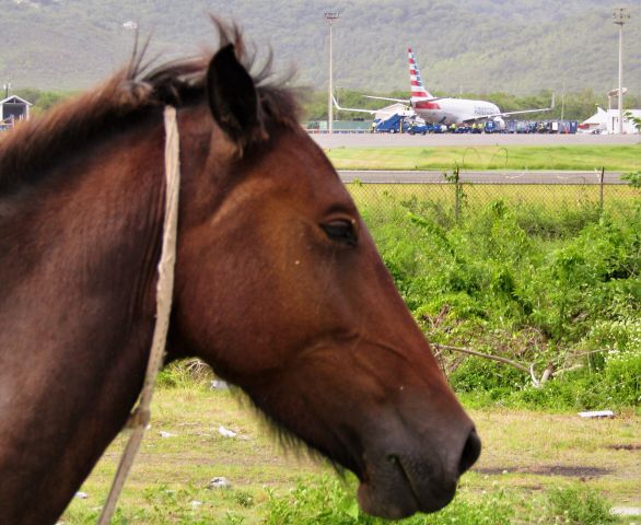 Boeing 737-800 (N305NX)