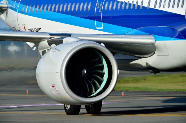Airbus A321 (JA132A)