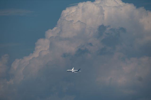 Boeing 787-8 (JA833A)