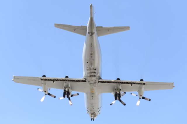 Lockheed P-3 Orion — - P-3 Orion, a derivative of the Lockheed, Electra.