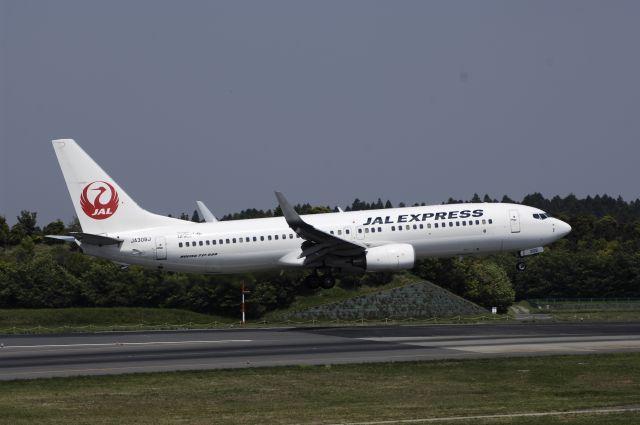 Boeing 737-800 (JA308J) - Approach to Narita Intl Airport Rwy16L on 2013/05/06