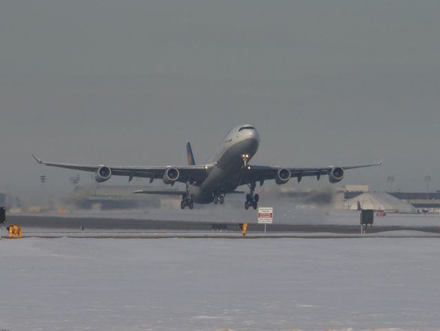 Airbus A340-300 (D-AIGD)