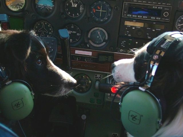 Piper Cherokee Arrow (N353S) - "I dont think I know how to land this thing. Do you?"