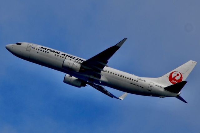 Boeing 737-800 (JA303J)