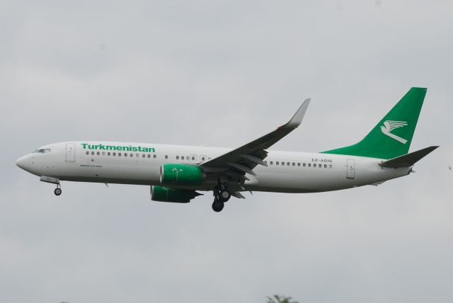 Boeing 737-800 (EZA016)