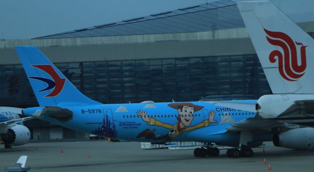 Airbus A330-300 (B-5976) - 6/28/18....Woody on the Shanghai Disney plane