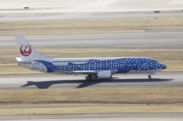 BOEING 737-400 (JA8939) - Taxing at Haneda Intl Airport on 2013/01/30 "Special Whale shark c/s"