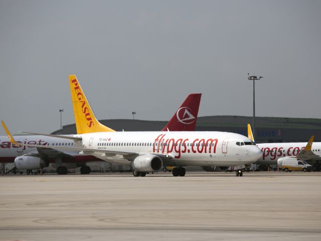 Boeing 737-800 (TC-AAZ) - Sabiha Gökçen airport, Istanbul, Turkey | 15 SEP 2014.