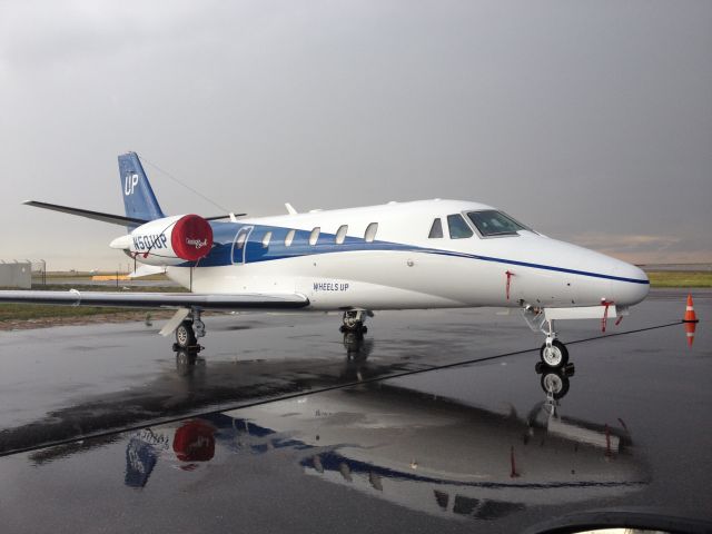 Cessna Citation Excel/XLS (N501UP)