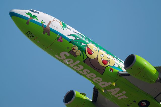 Boeing 737-800 (JA803X) - 「ナッシージェット宮崎(Nassy jet miyazaki)」br /Exeggutor(Nassy) is Pokémon character