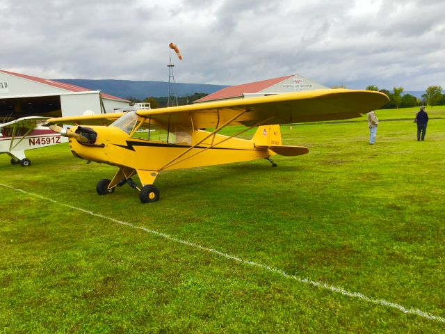 Piper L-21 Super Cub (NC35783)