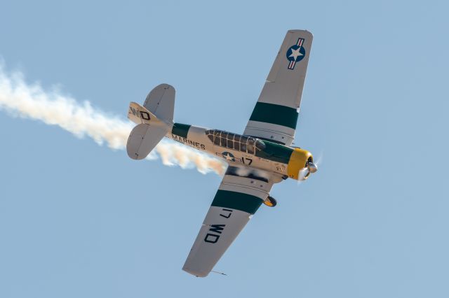 Grumman AA-5 Tiger (N1038A) - War Dog Apple Valley airshow.