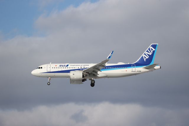 Airbus A320neo (JA218A) - February 03, 2024:HND-HKD.