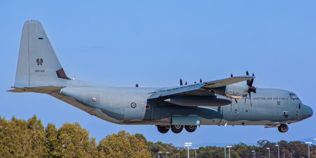 Lockheed C-130 Hercules (A97441)