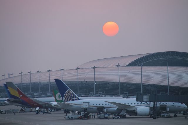 Boeing 787-8 (N30913)