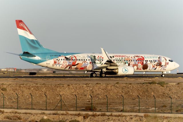 Boeing 737-800 (LX-LBA) - Tenerife Sur - Reina Sofia (TFS / GCTS) - Spainbr /br /Photo taken: January 1, 2024br /br /Operator: Luxairbr /Type: Boeing 737-8C9br /Registration: LX-LBAbr /Serial: 43537/5293br / br /Category: Civil Aircraft - Airlinerbr /Marked as: Special paint scheme