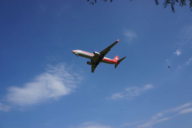 Boeing 737-800 (B-5548)