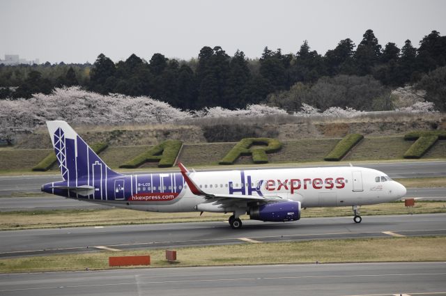 Airbus A320 (B-LCD) - Taxing at Narita Intl Airport on 2017/04/10