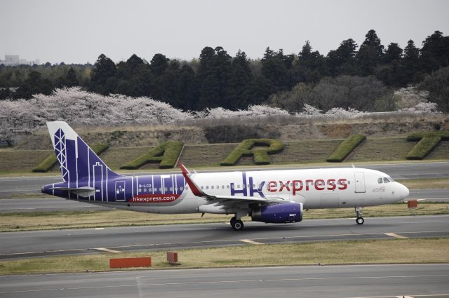 Airbus A320 (B-LCD) - Taxing at Narita Intl Airport on 2017/04/10