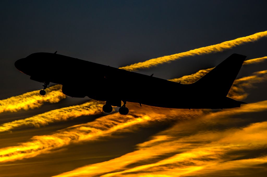 Airbus A319 (D-AILD)