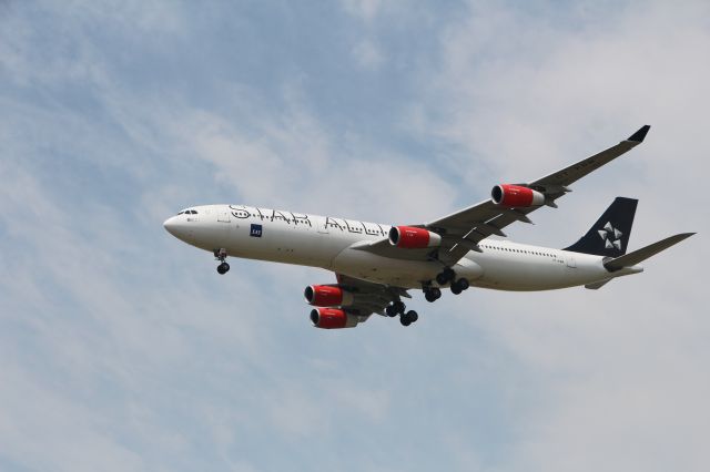 Airbus A340-300 (OY-KBM) - Star Alliance Livery