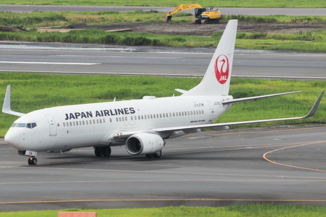 Boeing 737-800 (JA316J)