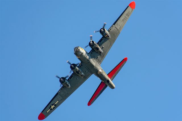 Boeing B-17 Flying Fortress (N7227C) - 2018 Wings Over Dallas WWII Air Show