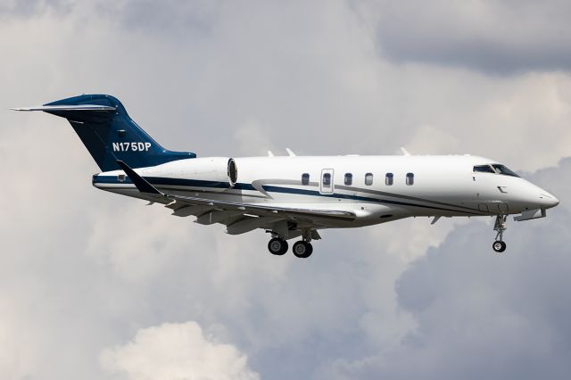 Bombardier Challenger 300 (N175DP)