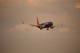 N8567Z thumbnail
