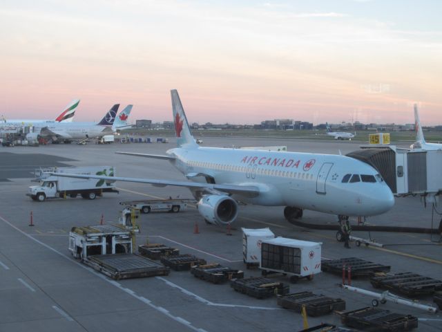 Airbus A320 (C-FMSX) - Soon boarding ACA 1185 from YYZ to YYC. Lucky enough to see 788 sp-lrd in the background.