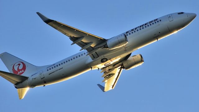 Boeing 737-800 (JA340J) - 2013