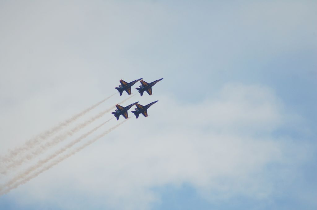 McDonnell Douglas FA-18 Hornet —