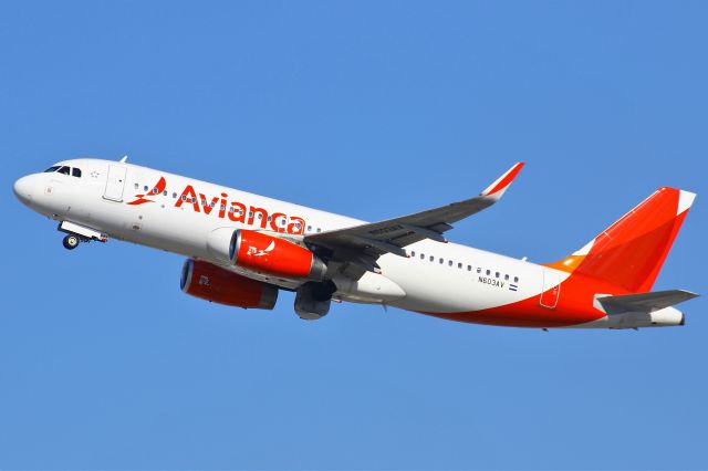 Airbus A320 (N603AV)