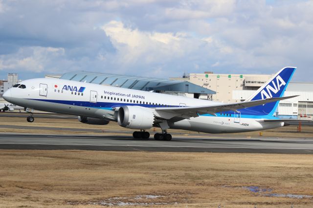 Boeing 787-8 (JA821A) - I took the picture at Itami Sky Park near Itami airport's runway.