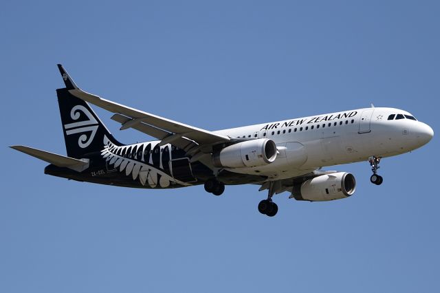 Airbus A320 (ZK-OXL) - on 31 January 2019