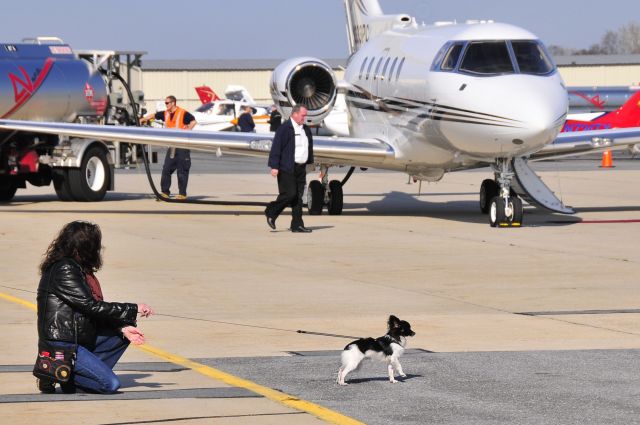 ARF — - Seen at KFDK on 11/7/2009.  This was a gathering & transfer point for pilots rescuing animals from South Carolina to various points in the northeast.  Most of these animals were within days of being euthanized at a kill-shelter. Its a wonderful organization that saves the lives of countless dogs & cats.  http://www.animalrescueflights.org/  (the H25B in the background is not part of this program)    a href=http://discussions.flightaware.com/profile.php?mode=viewprofile&u=269247  [ concord977 profile ]/a