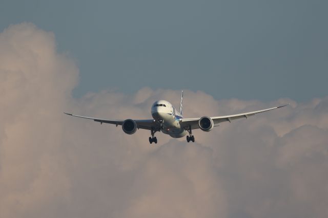 Boeing 787-8 (JA812A) - 25 October 2015:HND-HKD.