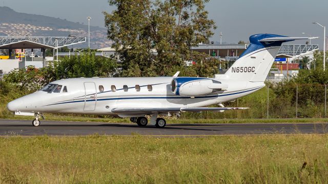 Cessna Citation III (N650GC)