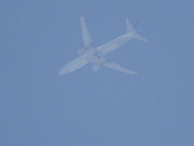 Boeing 737-900 (N66825) - UAL1633br /IAH-ORDbr /08/04/22