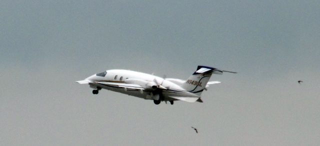 Piaggio P.180 Avanti (N149SL)