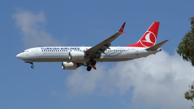 Boeing 737-800 (TC-LCB) - 06/05/2023:br /Flight from Istanbul, IST airport, on final to runway 30.