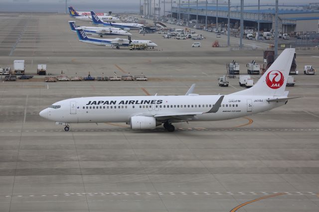 Boeing 737-800 (JA319J)