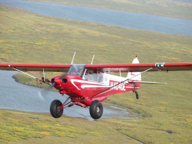 Piper L-21 Super Cub (N4040E) - Ultimate Alaska Super Cub...Wildman, pilot Butch King